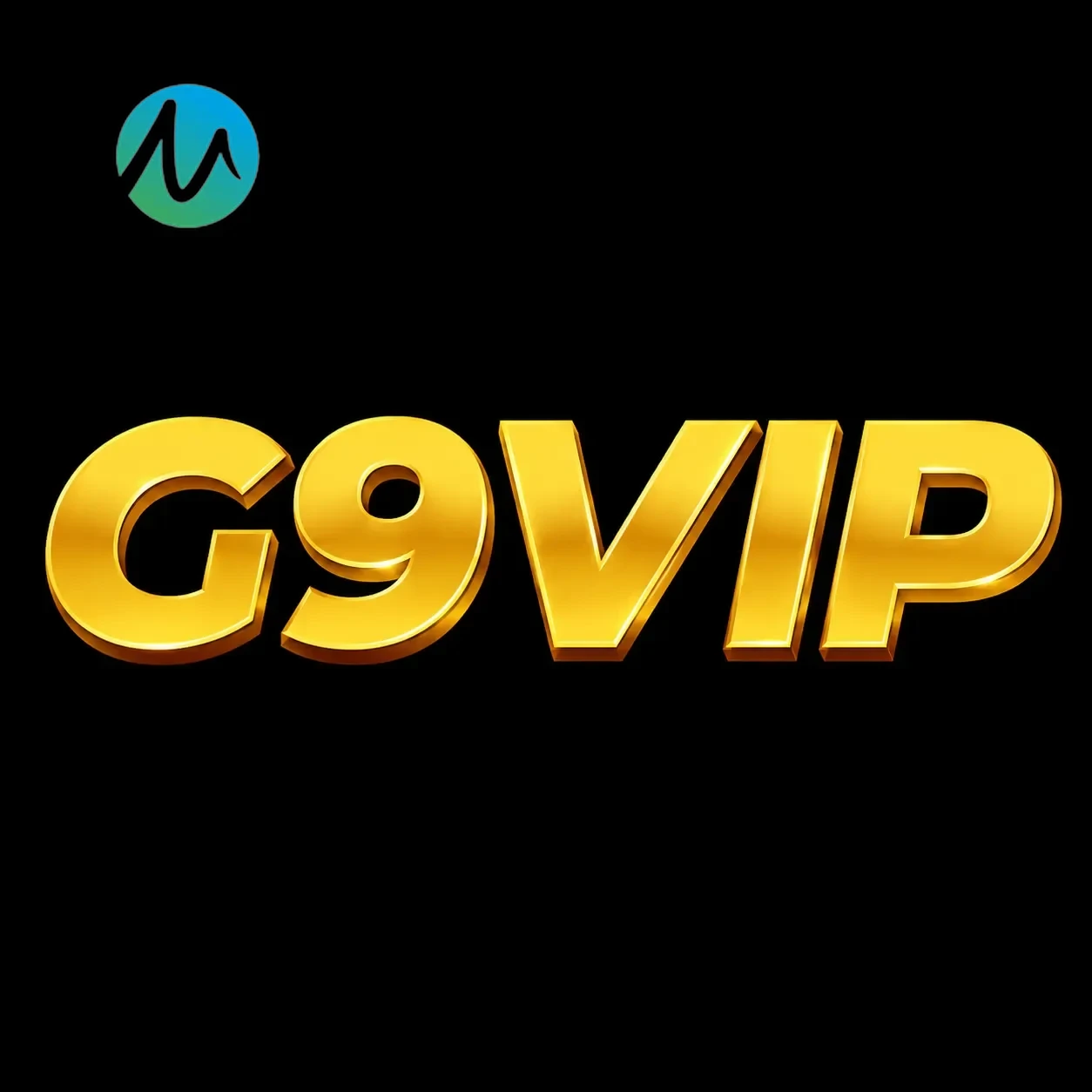 Logo g9vip